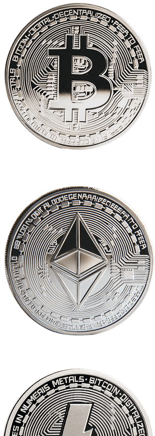 Investor checking trading portfolio performance results on Zephyr Wealtode